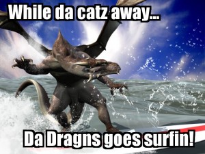 dragonsurf2